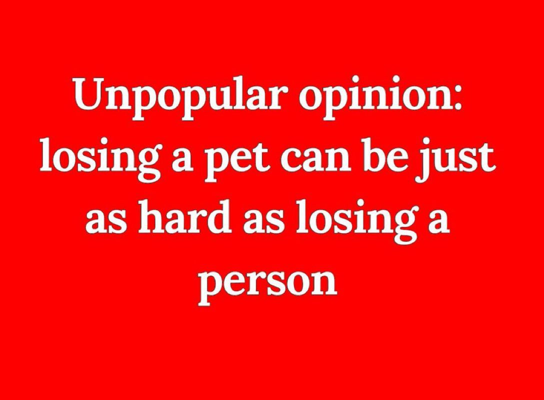 Do you agree?