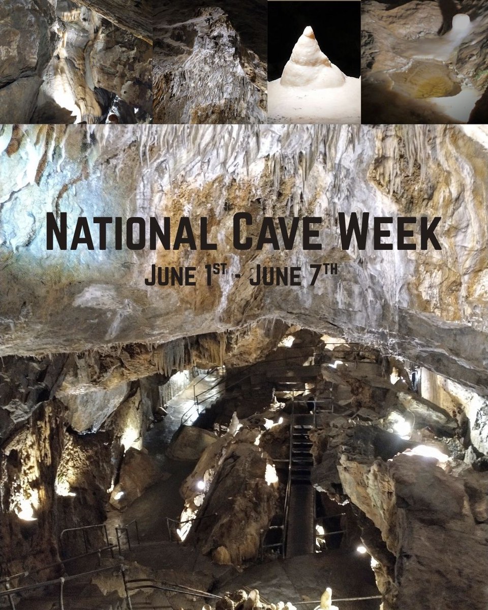 This week (June 1st - June 7th) is National Cave Week!

It’s the perfect time to visit Crystal Cave and learn why caves are worth celebrating. Let's go caving!