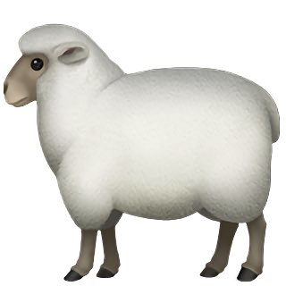 جاري البحث عن كيكة العيد 🐑🐑🐑
#عيد_الاضحى 
#صباح_الخير 
#بوح_آخر_الليل