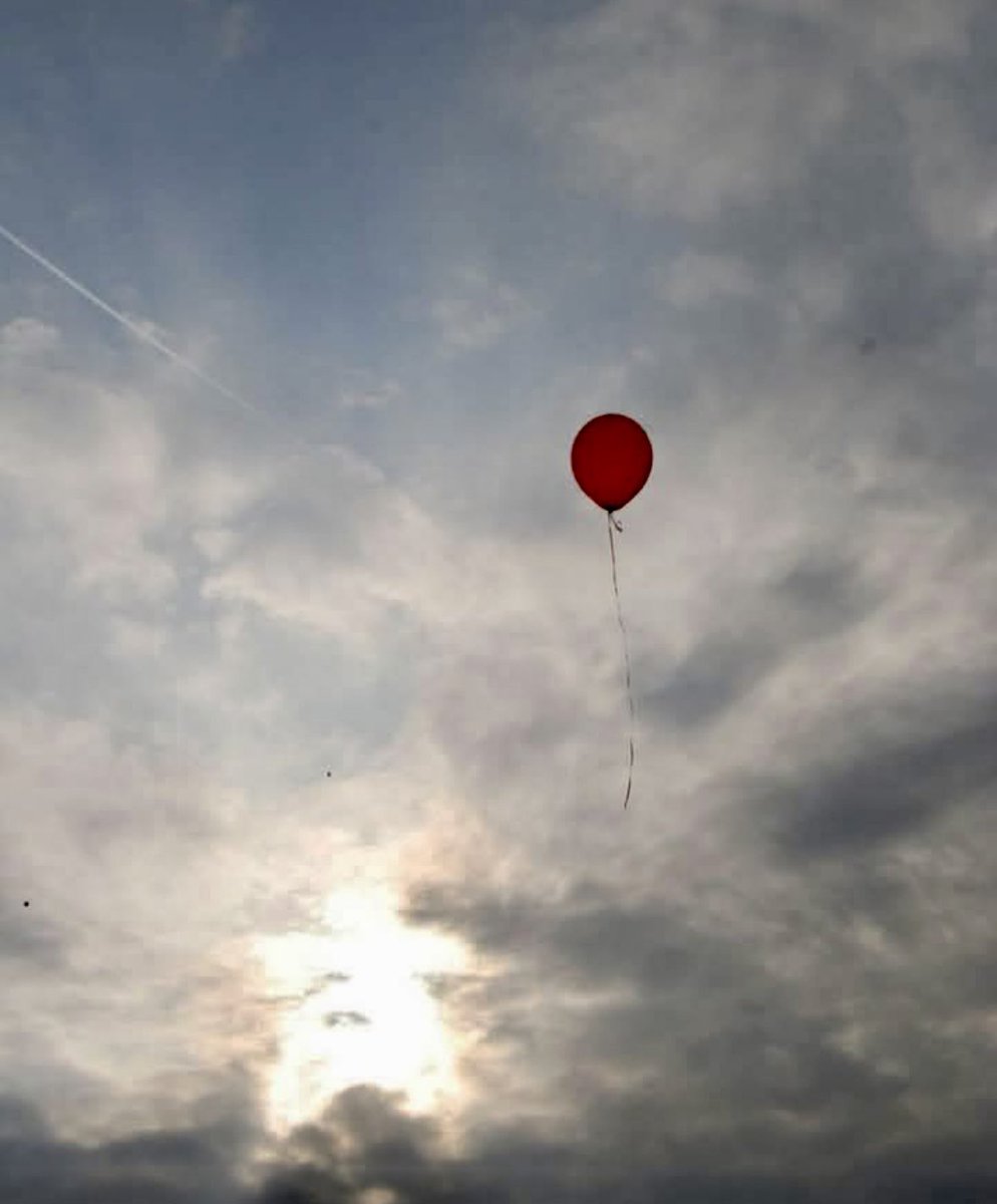 Discúlpame, la literatura me mató, pero te le parecías tanto. 
         
        ( Cristina Peri Rossi )