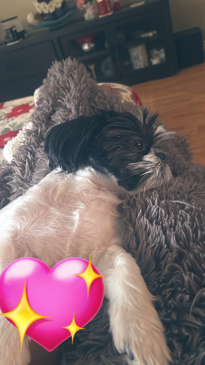 My manager requested for PTO  🤭💙