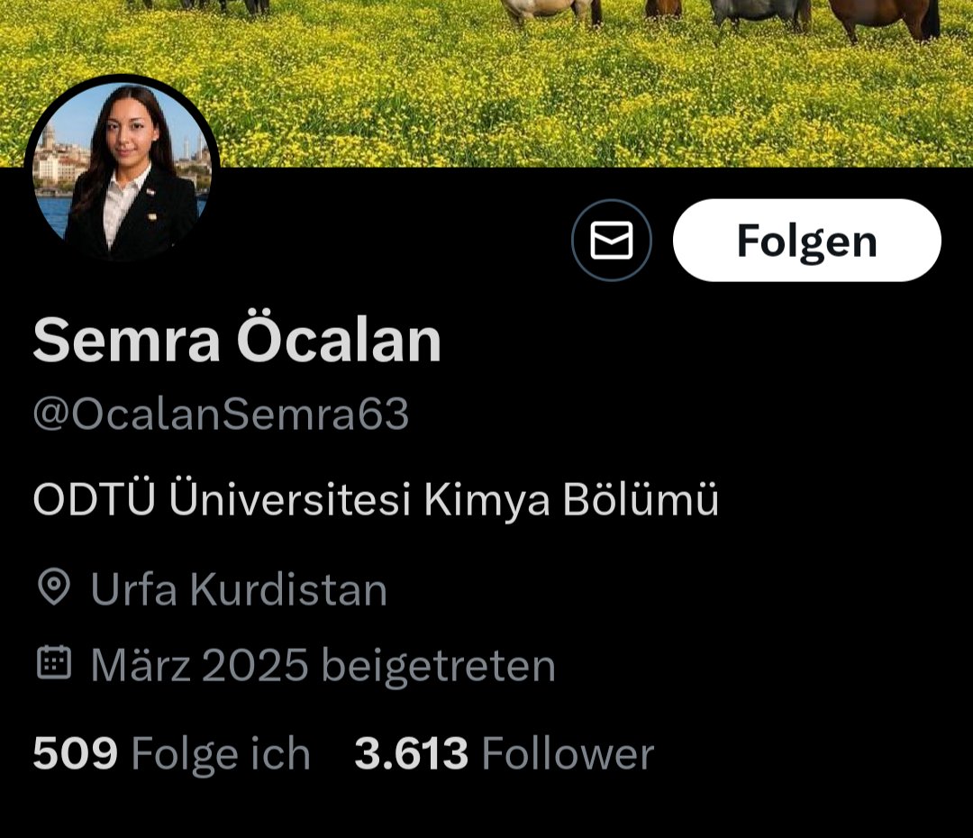 Dede Korkut'un gurbetçi torunu tweet media