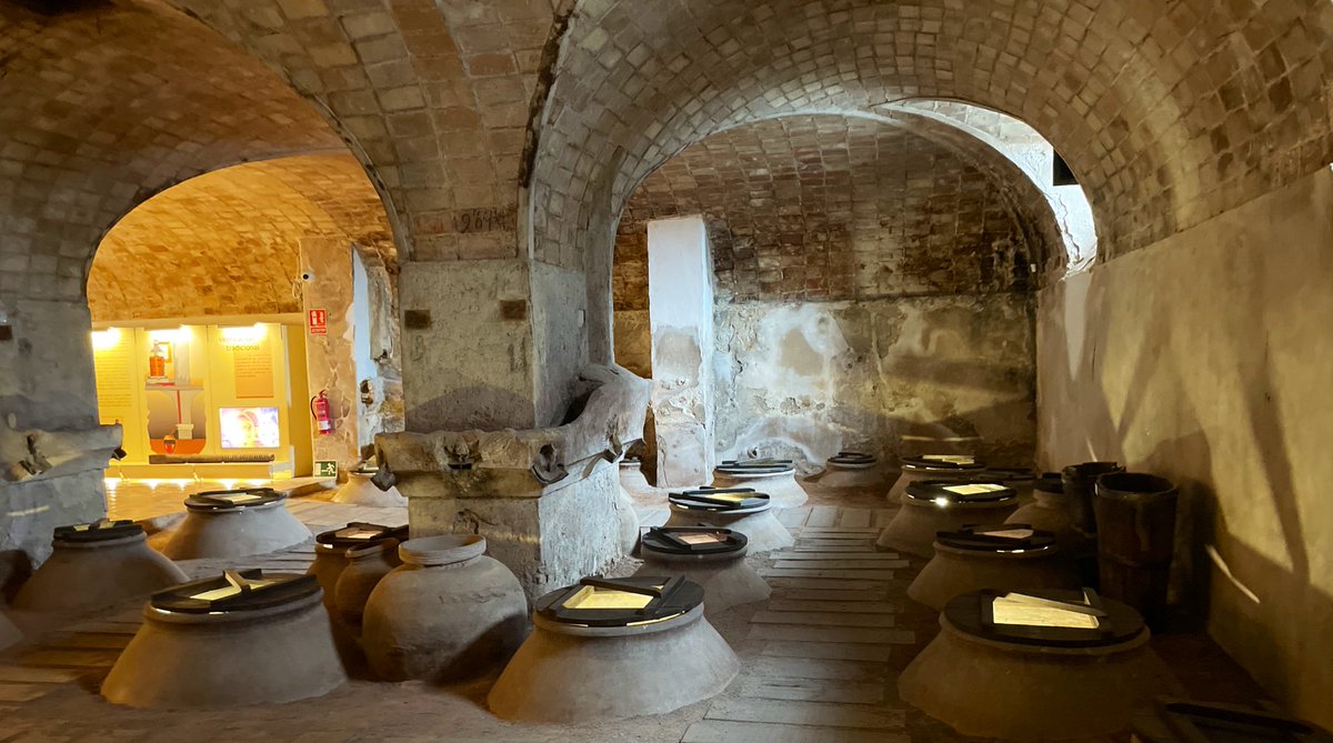 Visita al Museo del Vino de Bullas,
con la mejor bodega histórica de tinajas tradicionales <a href="/DOP_Bullas/">BULLAS D.O.P</a> <a href="/RutaVinoBullas/">RutaVinoBullas 🍇</a> <a href="/museosdelvino/">Museos del Vino</a>