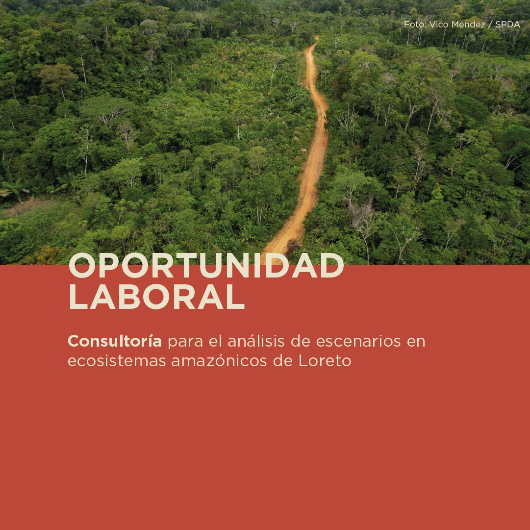 👩🏽‍💻👨🏽‍💻 #OportunidadLaboral | Consultoría para el modelamiento de escenarios territoriales en ecosistemas amazónicos de Loreto. 
➡ Postulaciones hasta el 8/06/2025
➡ TDR: bit.ly/3FDczPE