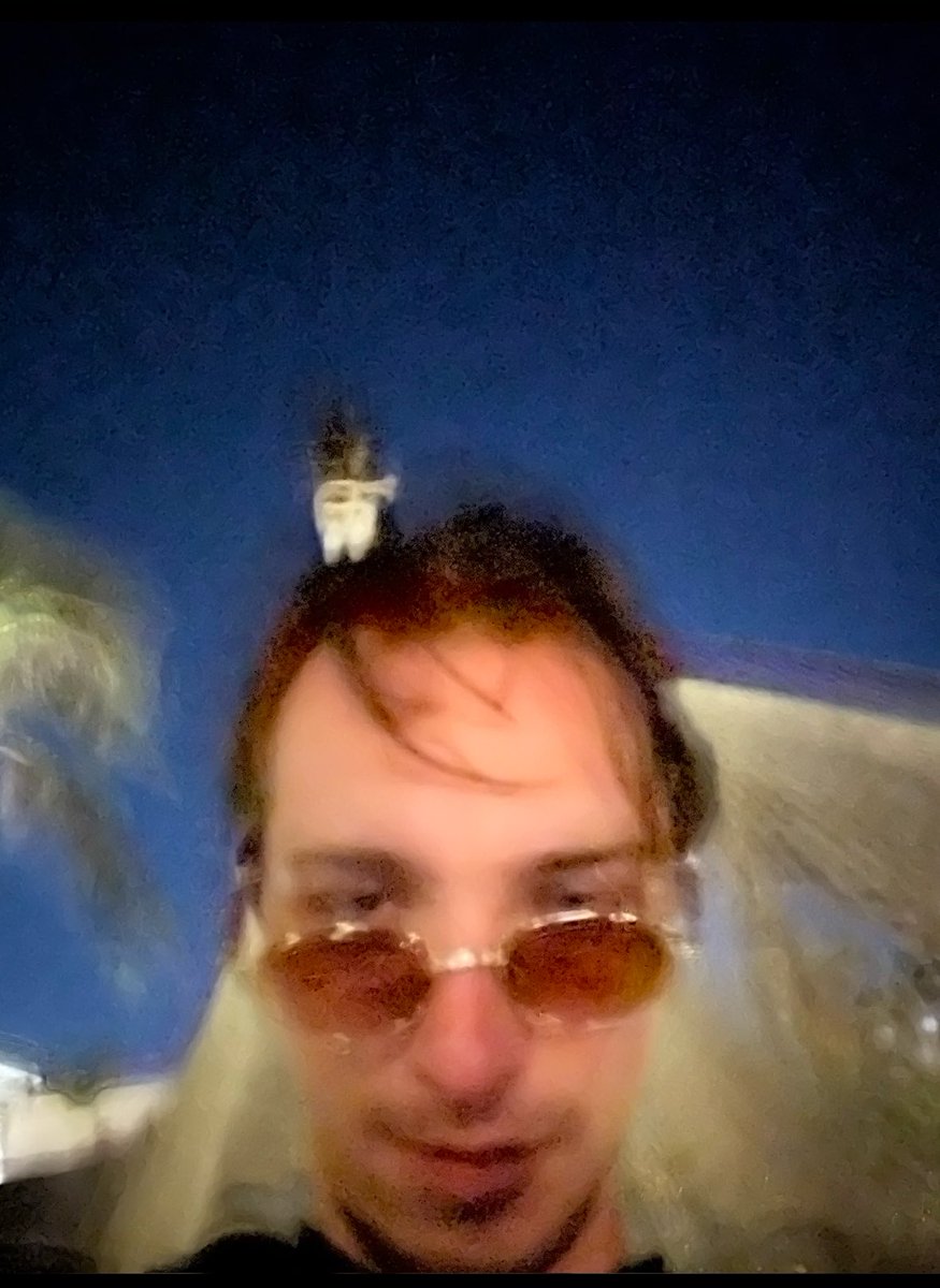 aaronsquealer's tweet image. went on vacation hated it