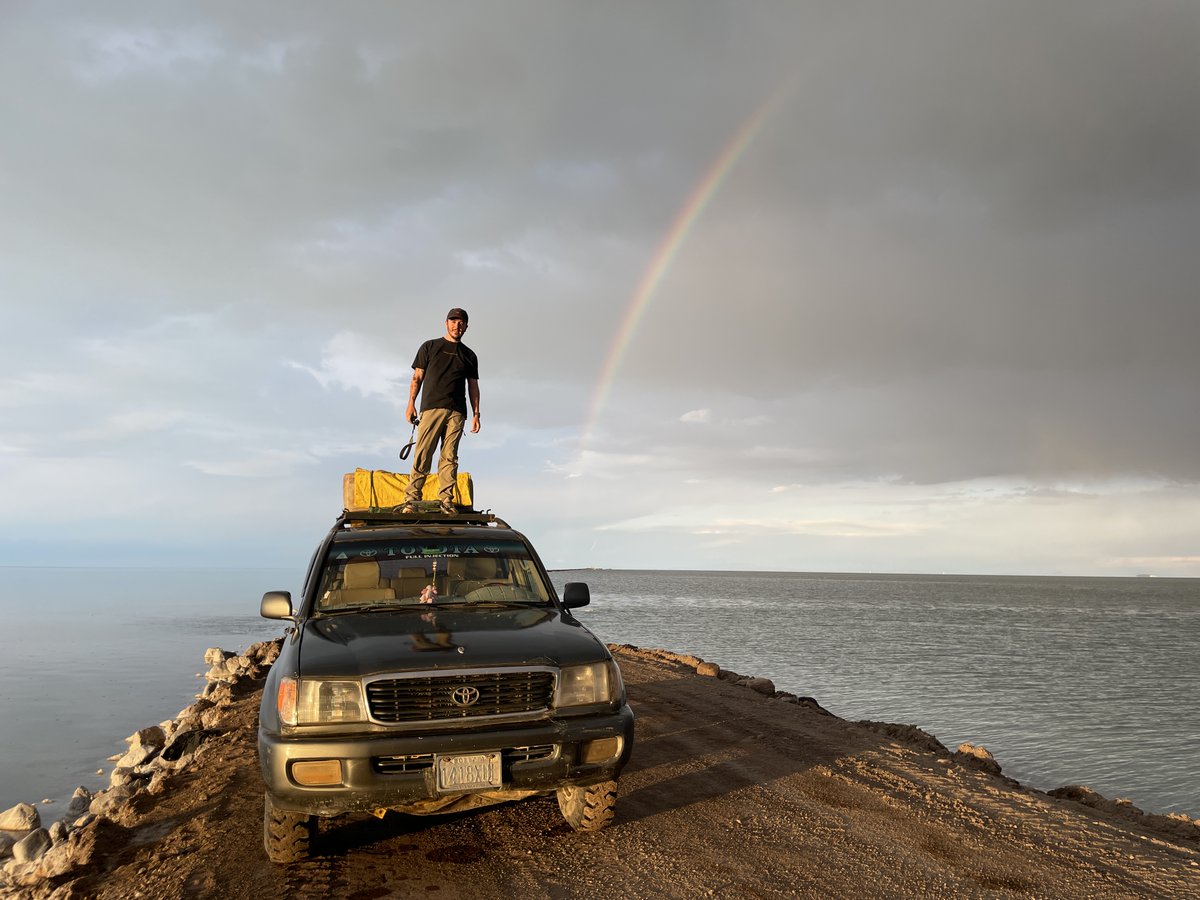 Henry Coxall tweet media