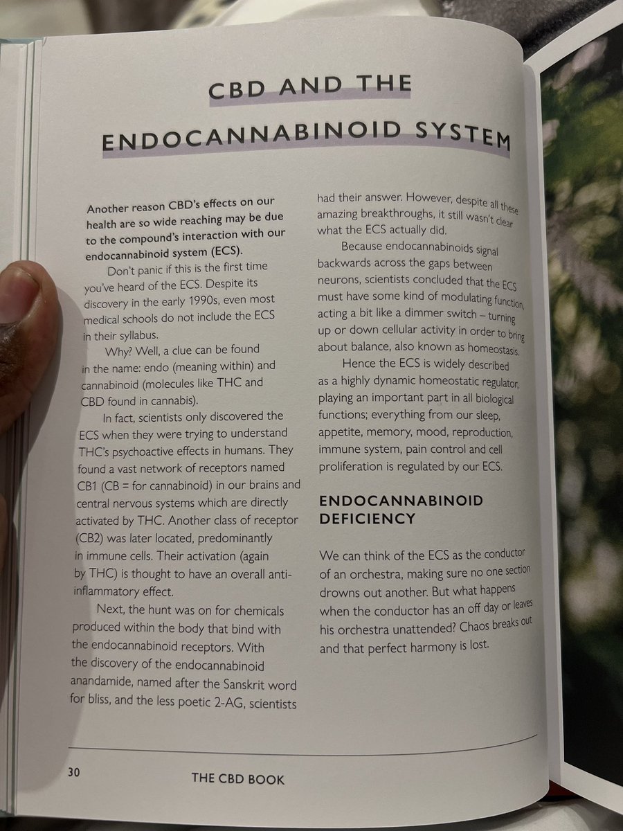 unajua you have an Endocannabinoid system kwa mwili? Holy Herb is illegal juu itaweka big pharma out of business..