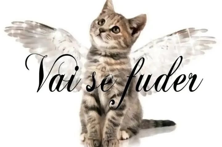 ᅟᅟ𖤐𝖛𝖆𝖒𝖕𝖎𝖗𝖊𖤐 tweet media