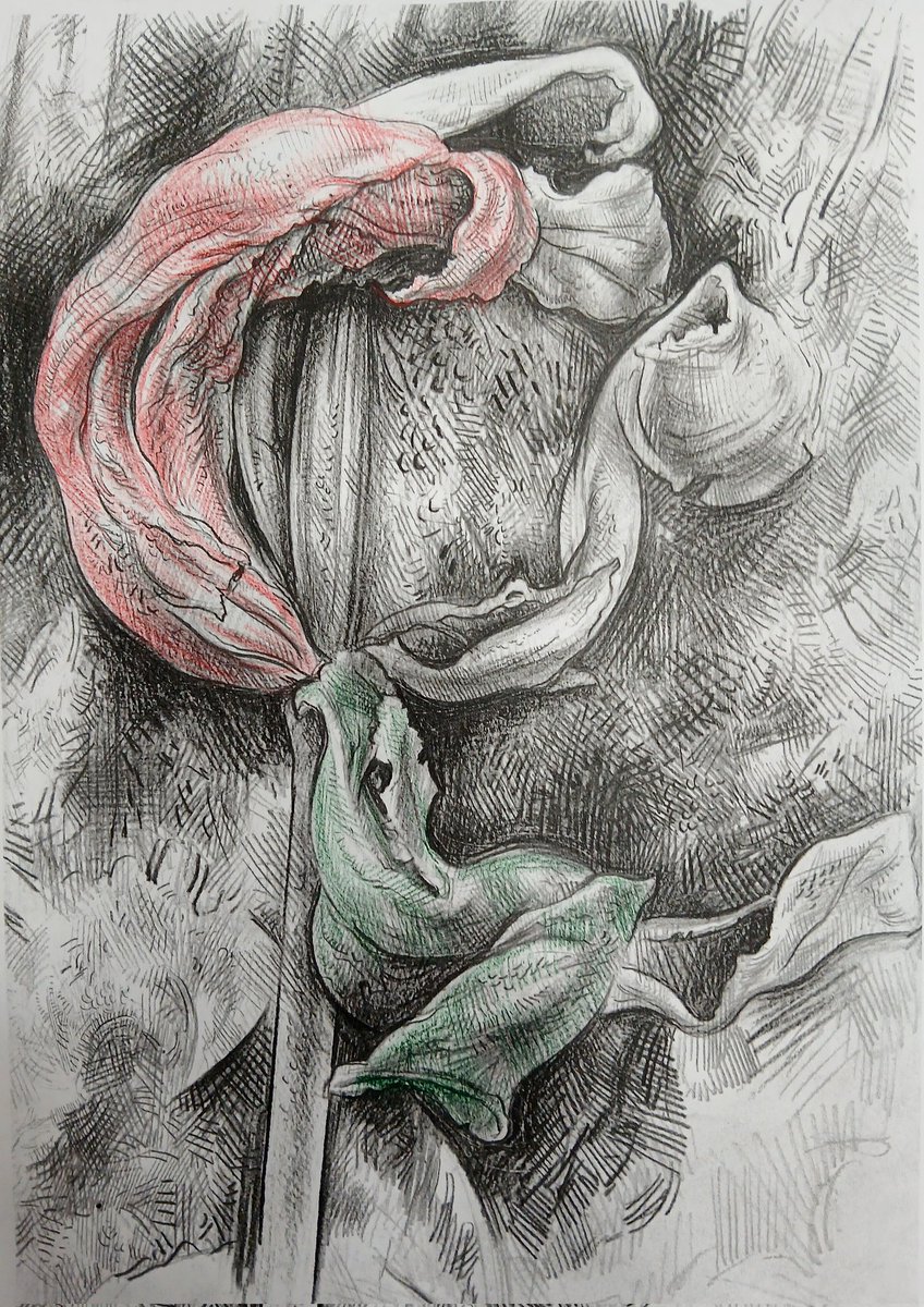 Daniel Fooks (@danielfooksart) on Twitter photo 