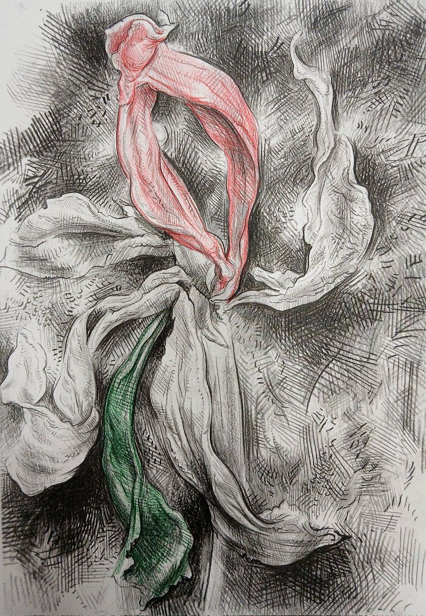 Daniel Fooks (@danielfooksart) on Twitter photo 