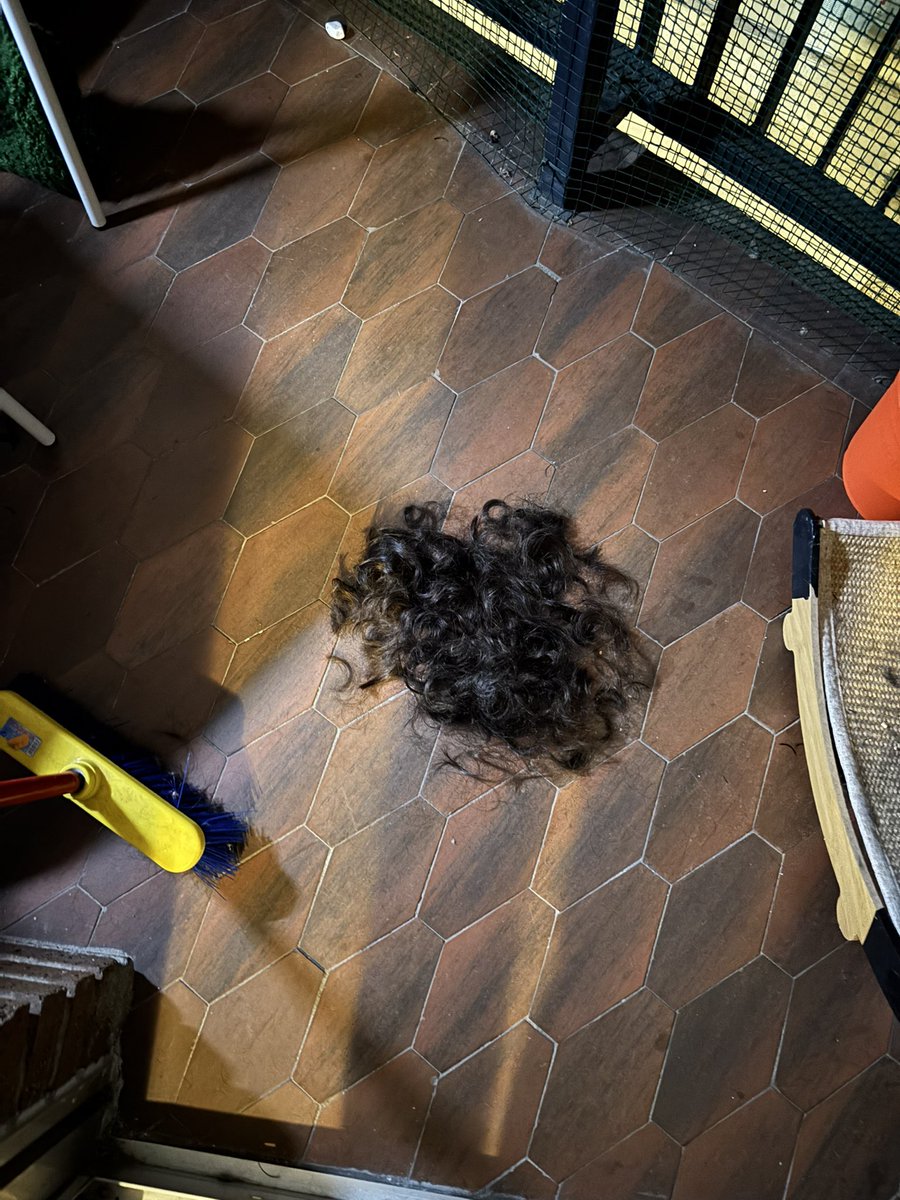 I got kidnapped by two lesbians and now I’m bald