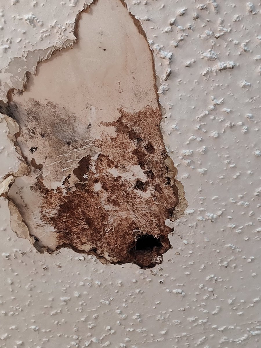 PGalderock's tweet image. I love my apartments 😑