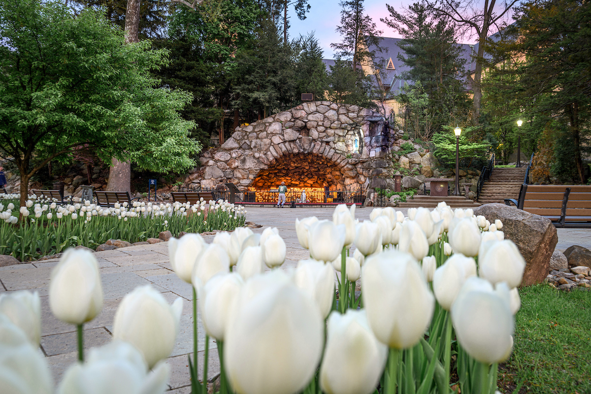 PhotosND's tweet image. Many May Moments 📸
Check out more photos from last month: photos.nd.edu