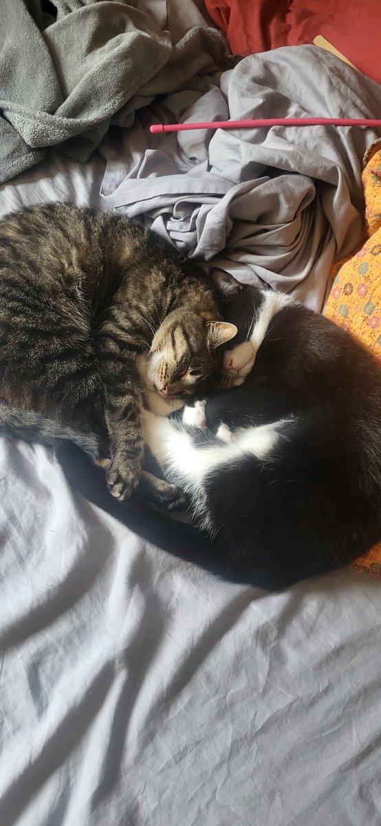 good nite ! see u guys on our 3 am Run :)