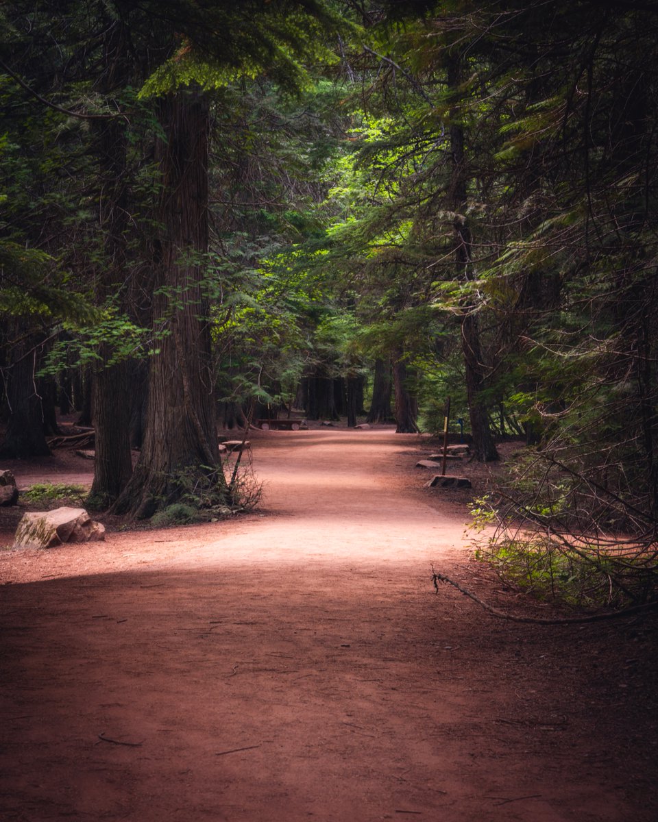 PrestonPhotog's tweet image. Trail Tuesday. Fun hike in Glacier National Park from 2020. I edited this one again today from the RAW file because I couldn't find my jpg version of it...not sure how that disappeared so I'm glad I keep my RAWs.
馃摲Nikon Z6 | Nikkor 24-200mm #nikoncreators