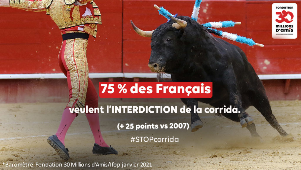 Maitre Christophe Gerard tweet media