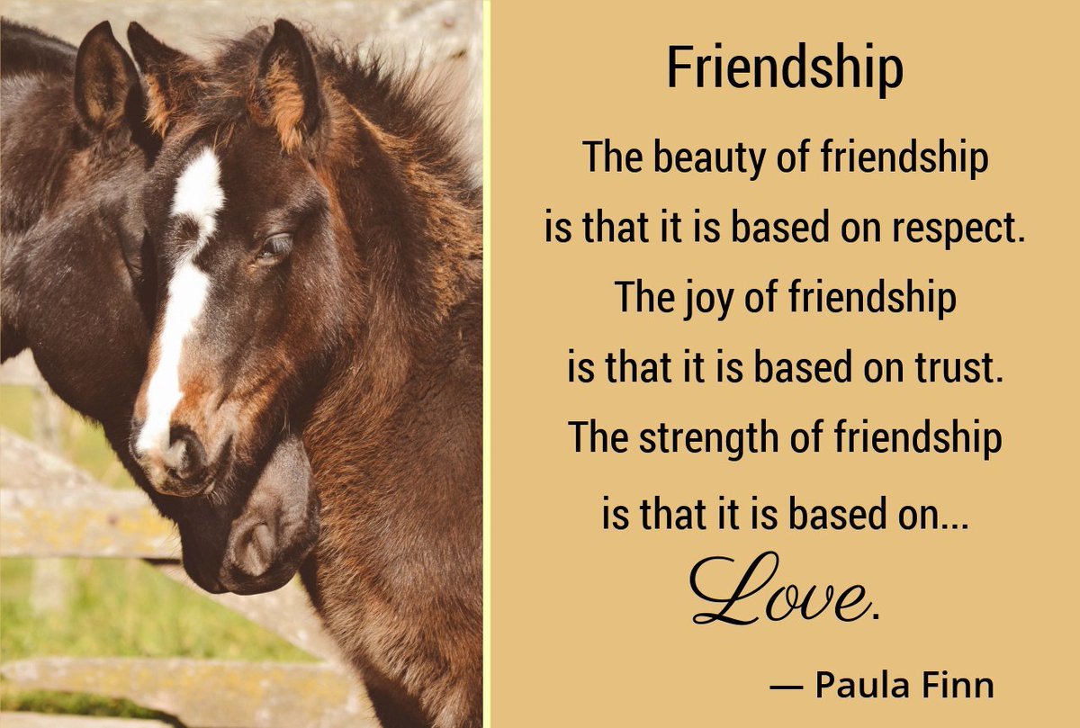 The beauty of friendship 
is that it is based on respect.
The joy of friendship 
is that it is based on trust.
The strength of friendship 
is that it is based on…Love.
~ Paula Finn