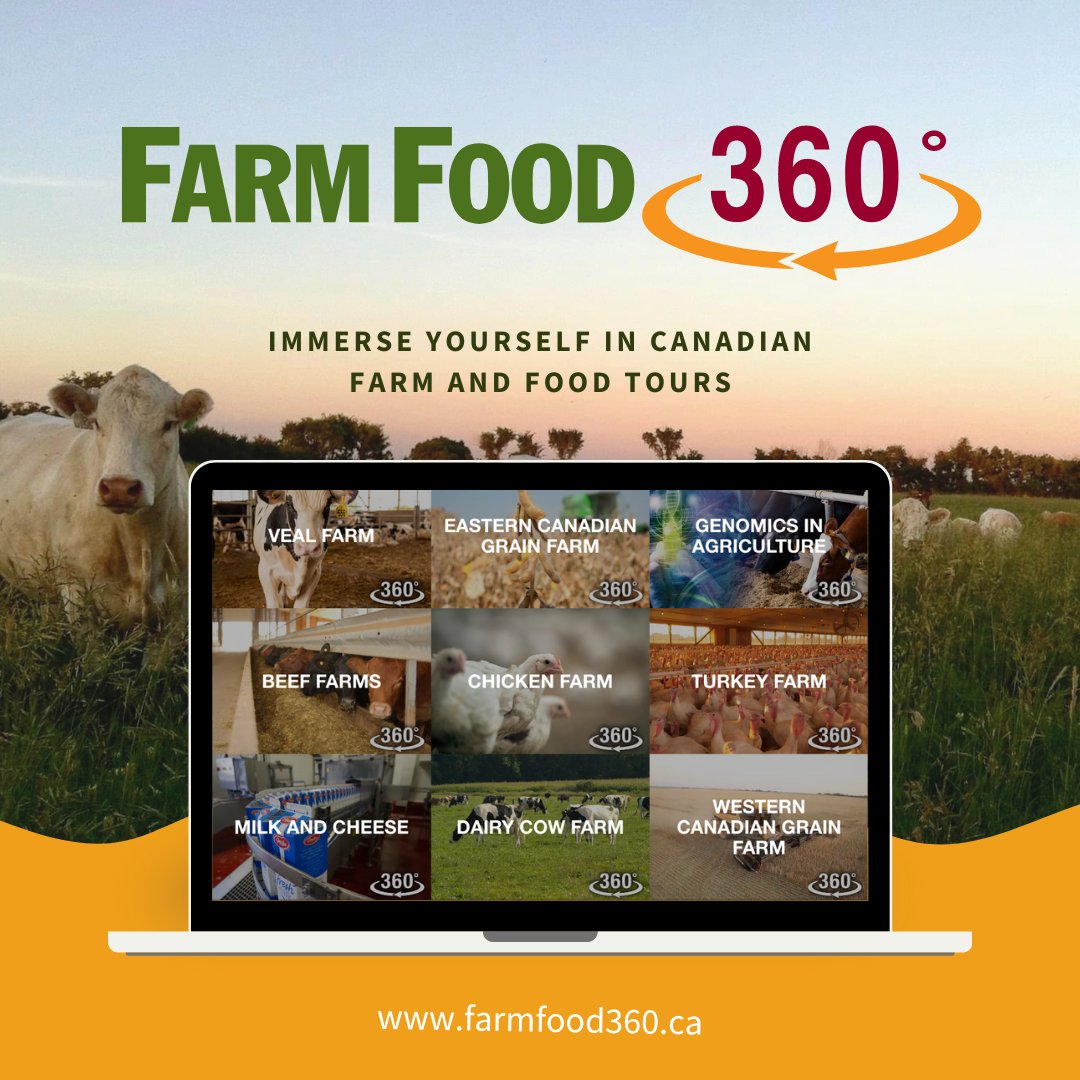 EVER WONDERED what a Canadian farm looks like? 🌾

With FarmFood 360, you can take a virtual tour from eggs to apples, milk to mink.
Get that 360° farm life experience without leaving your home! 🚜

TAKE A VIRTUAL TOUR TODAY: bit.ly/35p9MYi

#VirtualTour