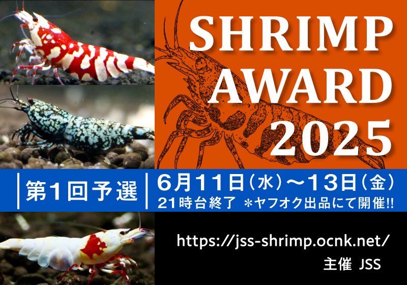 シュリンプアワードが近づいてきました‼️
新たに審査員と審査方法を加えてHP更新しておりますのでご確認下さい🤲

出店期間の間違いなどは審査対象外となりますので概要をよく読んでご参加ください🙇

#シュリンプアワード
#JSS

jss-shrimp.ocnk.net/page/shrimpawa…