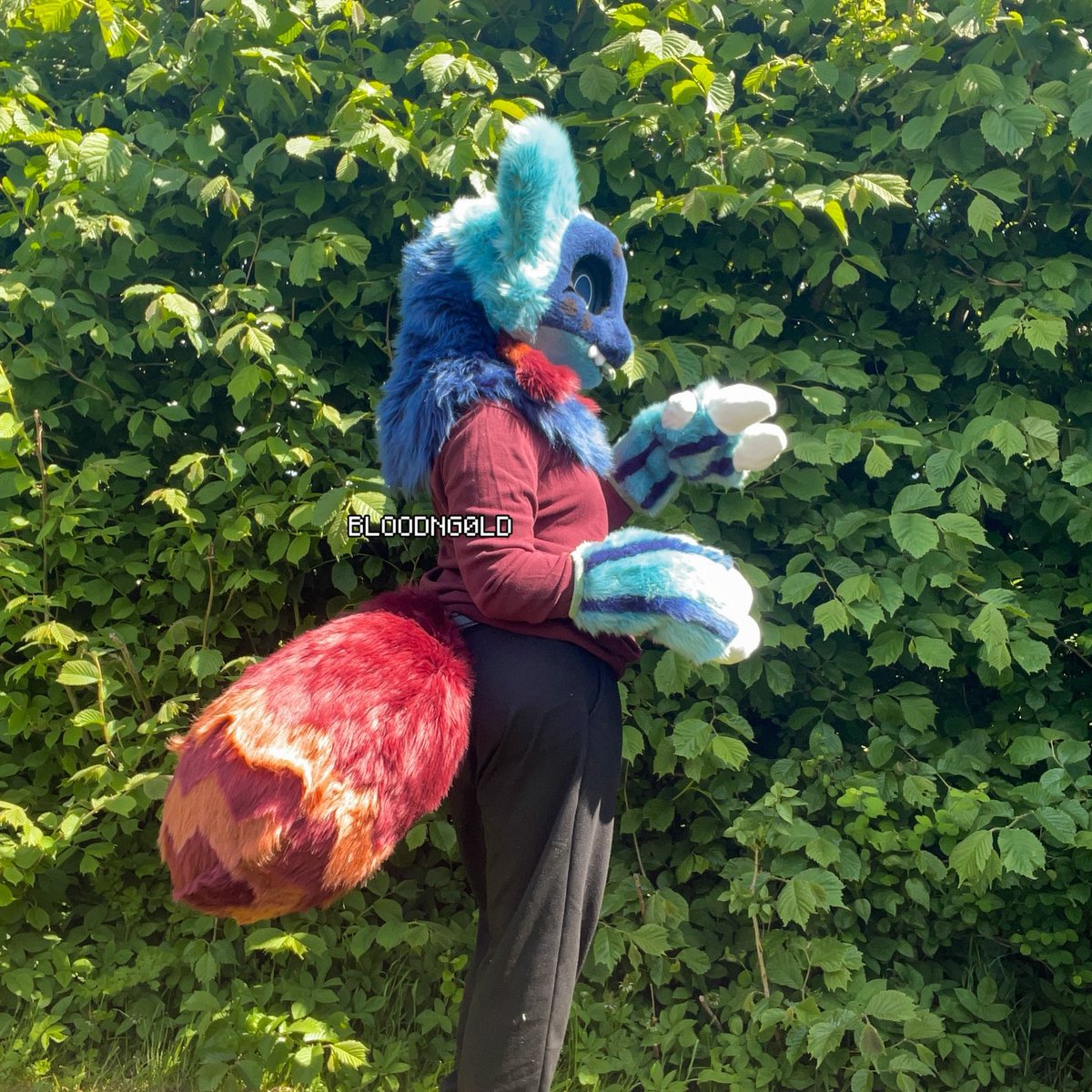 Another suit out of the studio; Meet Talvi! ⚜️