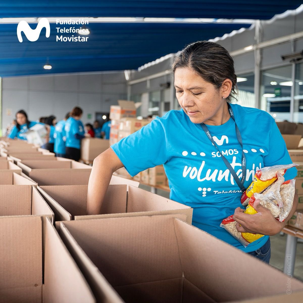 Fundación Telefónica Movistar México tweet media