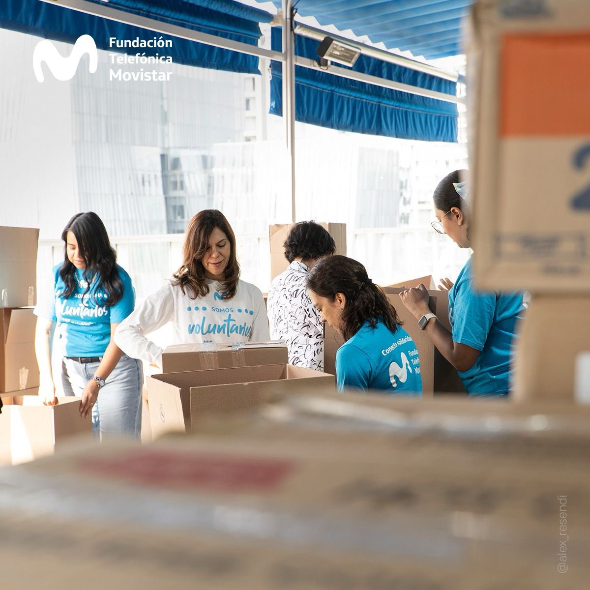 Fundación Telefónica Movistar México tweet media