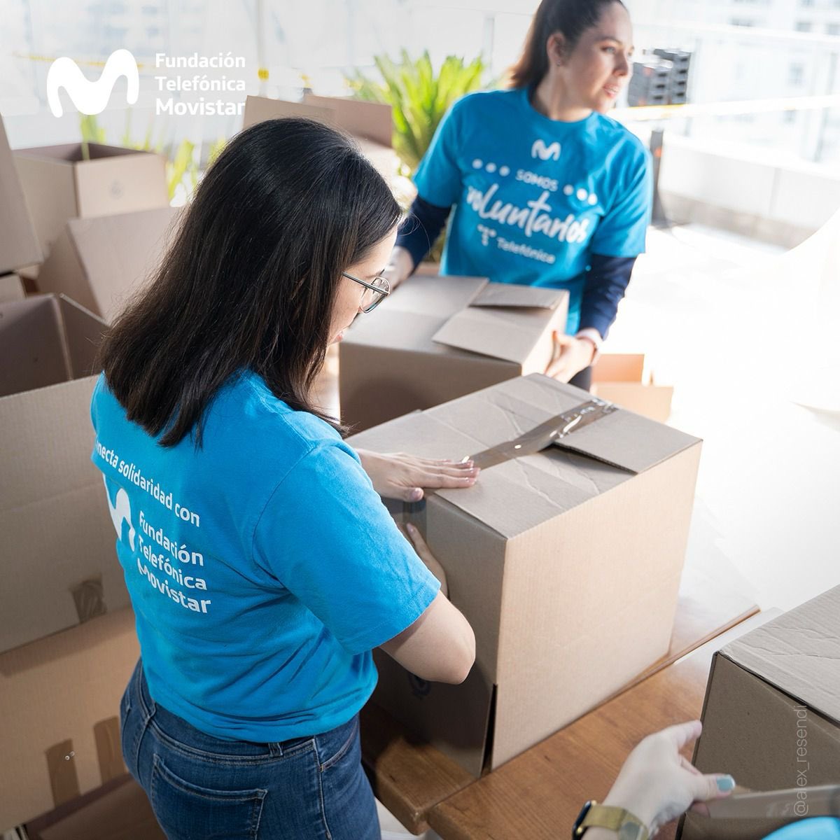 🤝 Nuestro #DIVT25 es una oportunidad para sumar más manos y, juntos, seguir construyendo un futuro más solidario e inclusivo.

#DIVT25 #SomosSolidarios #ConectaSolidaridad #ftelefonicamx
#ODS2 #HambreCero #ODS1 #FindelaPobreza #ODS10 #ReduccióndelasDesigualdades #ODS17