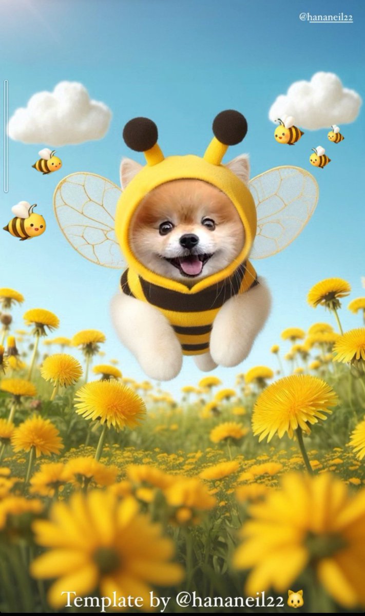 また、動画のポストが出来ません😭

#かわいいと思う画像をなんでもいいので無言で1枚あげろ
#ぷーたん #ポメラニアン