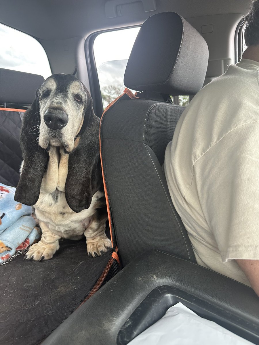 BeloitBassets's tweet photo. I’ve been in this truck for 3 days.   When are we gonna get there? https://t.co/wXDiRgkCfB