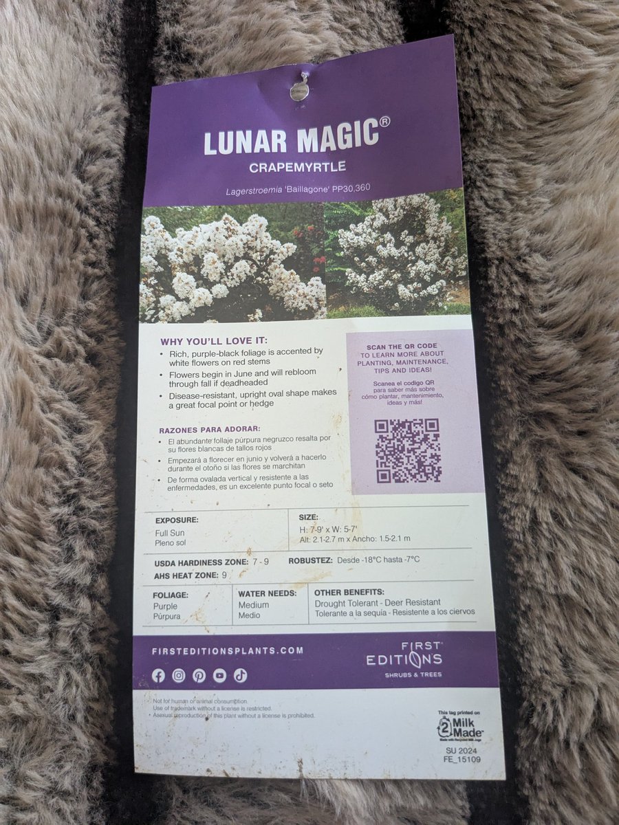 How could I resist "Lunar Magic"
Drought tolerant, Deer Resistant...although there's no problem here in the spring and summer probably even in the fall or winter with water, who knows it's East Tennessee 🤣🎉 #ExposeItAllDOGE #Trump2024 #TrumpWon #NCSWICGODWINS