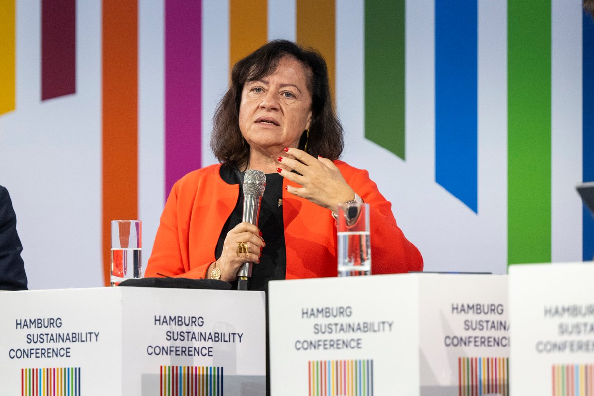 Achim Steiner tweet media