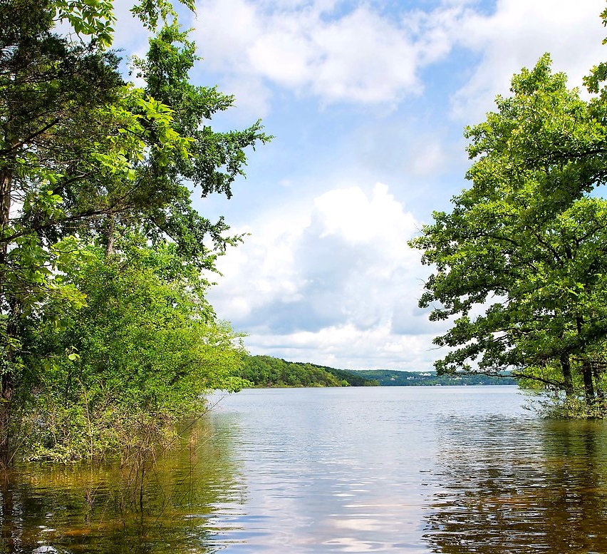 Caretaker needed on a large Missouri cattle farm, 45 minutes from Springfield. Details about this new position were sent out to our paid subscribers in our latest email update.  Any questions, please email caretakergazette@gmail.com