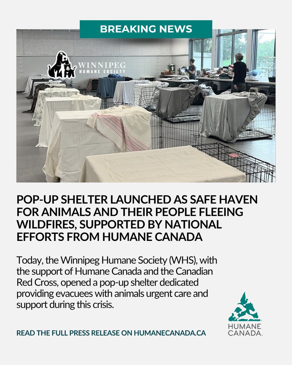 A pop-up shelter has been launched by the Winnipeg Humane Society—with support from Humane Canada and the Canadian Red Cross—to help evacuees and their animals during the wildfires.
 
Read our full press release:: humanecanada.ca/en/your-humane…