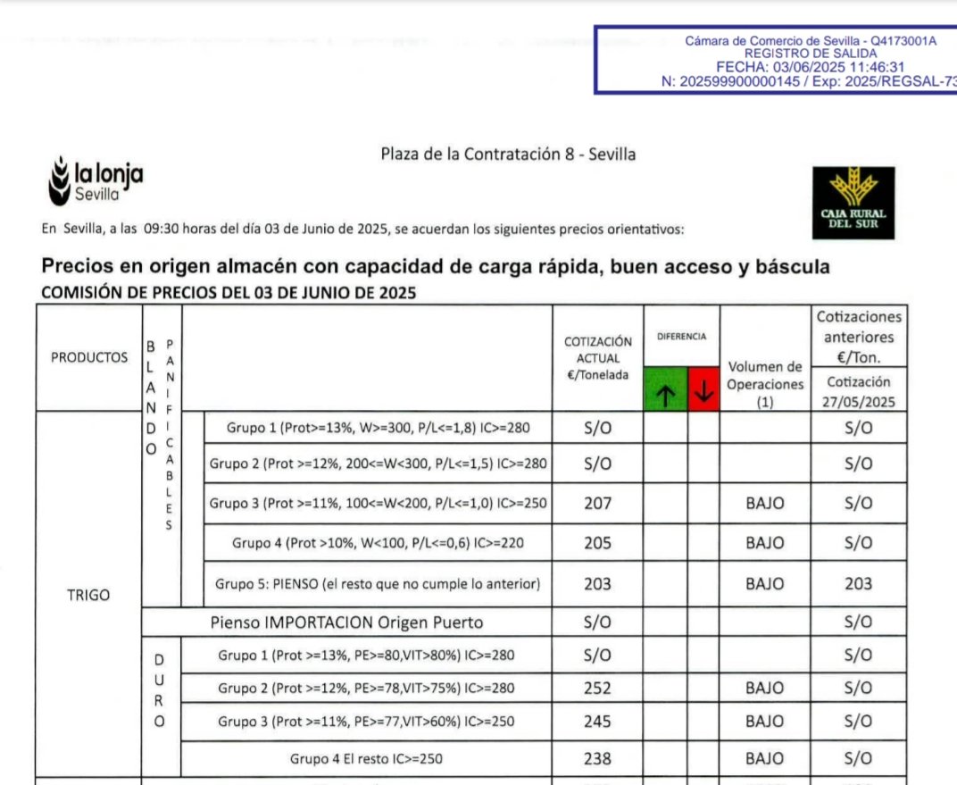 After many weeks without quoting, today Seville commodity exchange returns to quote local durum prices 👇

Category N.1 ➡️ no exchange 
Category N.2 ➡️ 252€/ton
Category N.3 ➡️ 245€/ton
Category N.4 ➡️ 238€/ton

As expected, also due to the very abundant harvest, Spain is