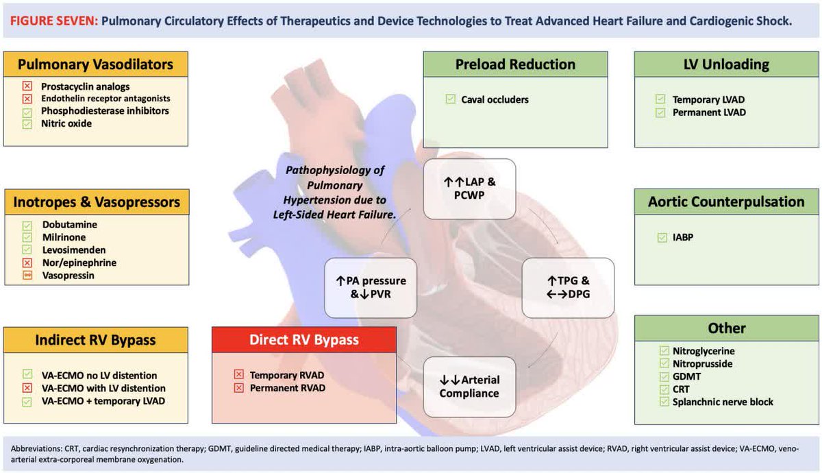Circ: Heart Failure (@circhf) on Twitter photo Reframing pulmonary vascular afterload in HF and CS: PCWP and pulsatility are key to RV-PA interactions @navinkapur4 <a href="/KayEverettMDPhD/">Kay Everett, MD, PhD</a> <a href="/Sydney_Uni/">University of Sydney</a> <a href="/heartfoundation/">Heart Foundation</a> #AHAJournals ahajrnls.org/45BPc3t Reframing pulmonary vascular afterload in HF and CS: PCWP and pulsatility are key to RV-PA interactions @navinkapur4 <a href="/KayEverettMDPhD/">Kay Everett, MD, PhD</a> <a href="/Sydney_Uni/">University of Sydney</a> <a href="/heartfoundation/">Heart Foundation</a> #AHAJournals ahajrnls.org/45BPc3t