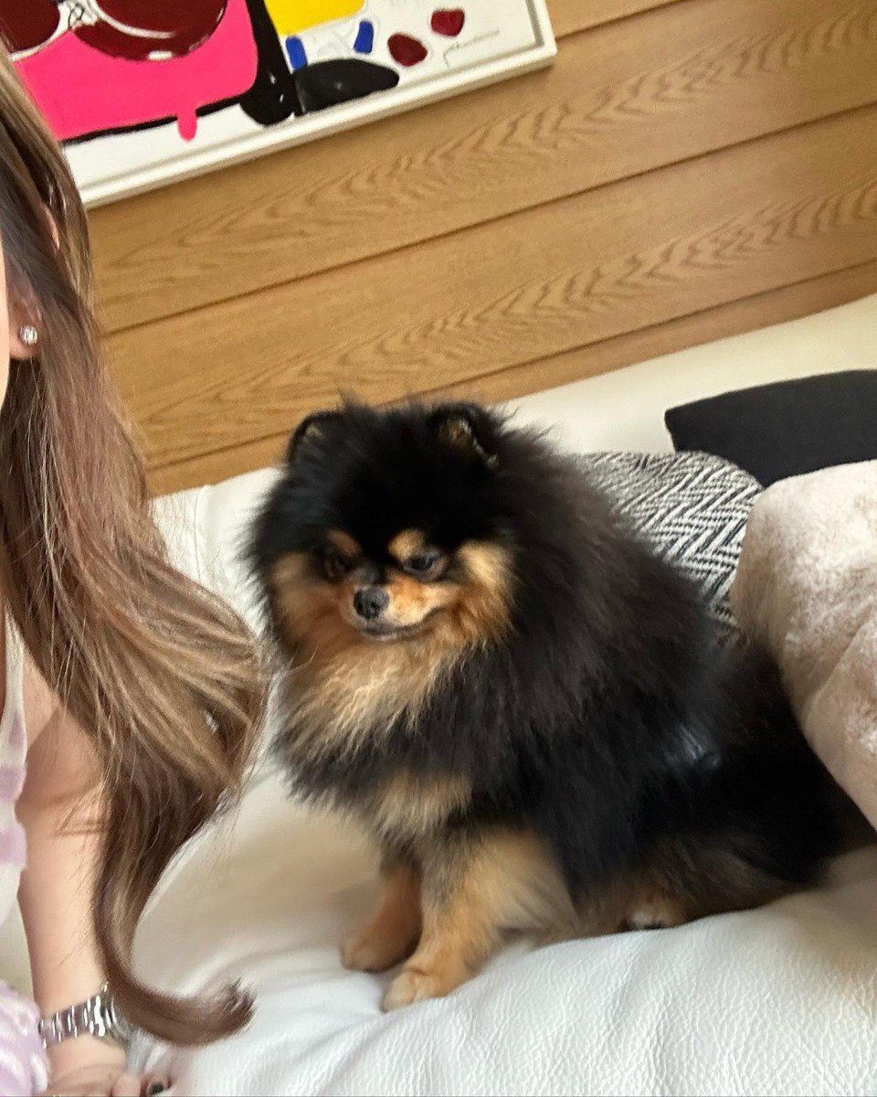 Daisy (@nvinh) on Twitter photo 