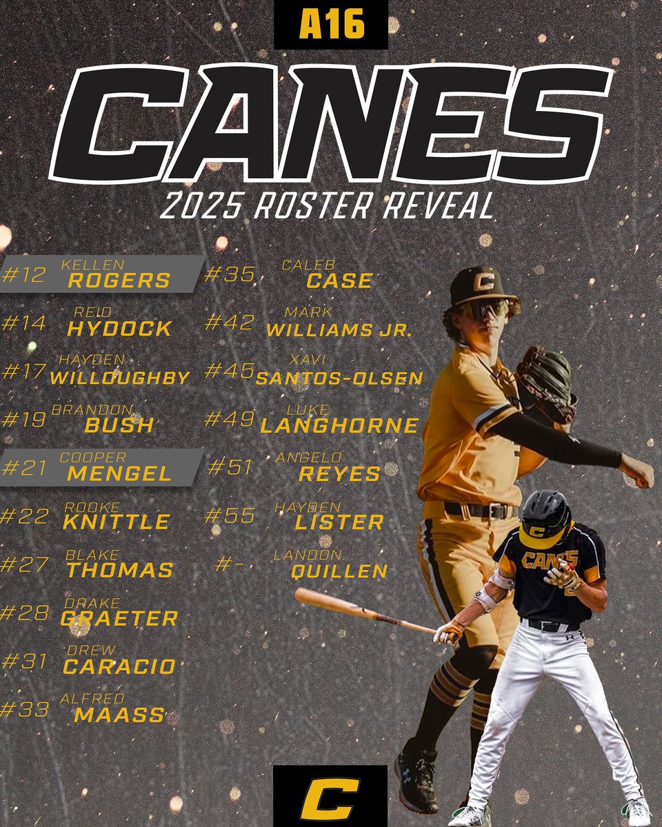 Watch out this summer for Canes American 16😮‍💨

#thecanes #DifferentBrandOfBaseball