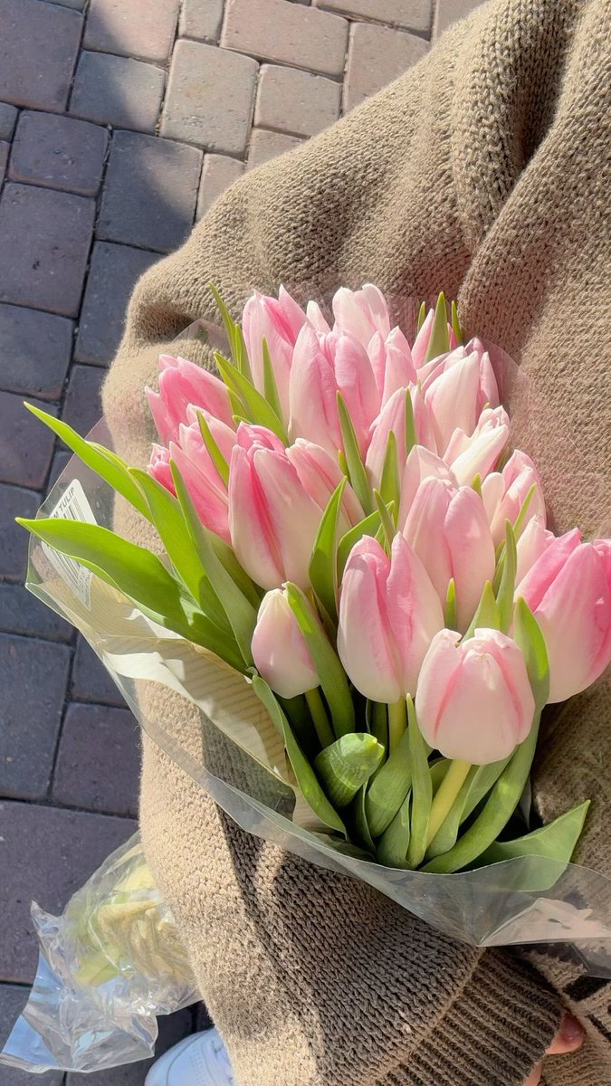 i3Moment's tweet image. Pink Tulips 🌷