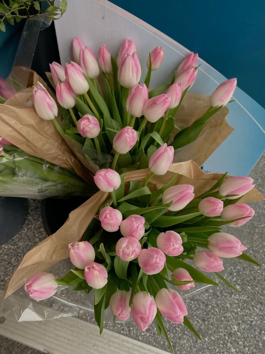 i3Moment's tweet image. Pink Tulips 🌷