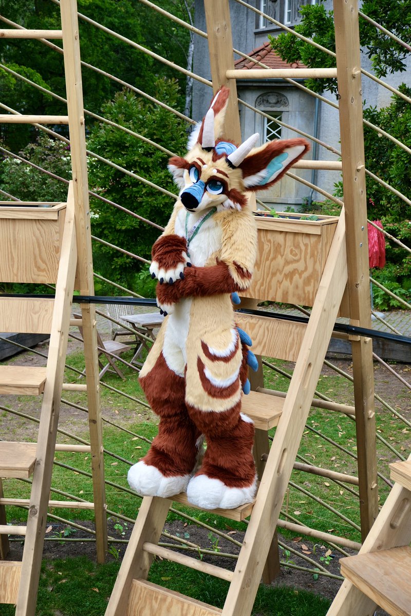 There are days where you just loose… no matter what you try.