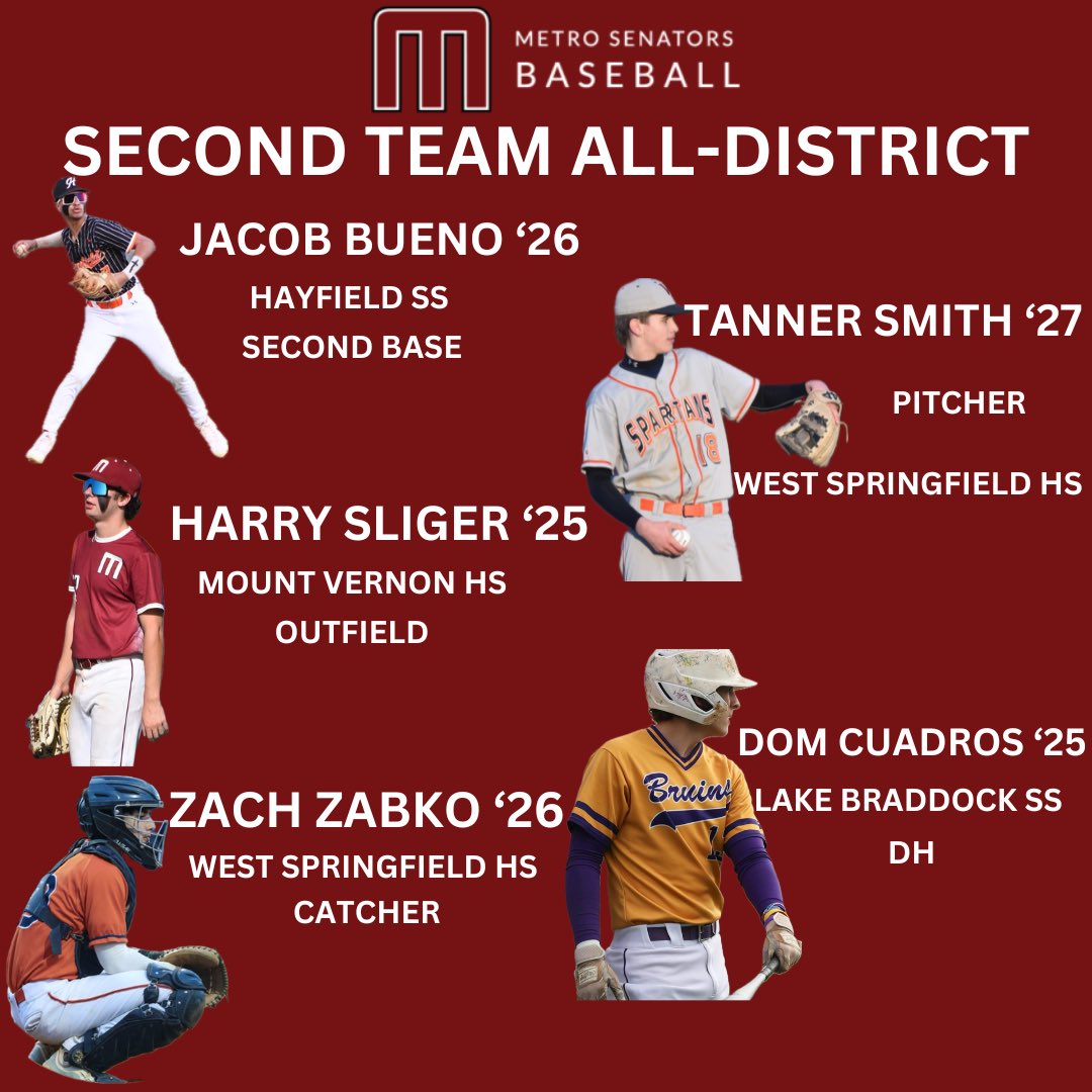 Metro Baseball tweet media