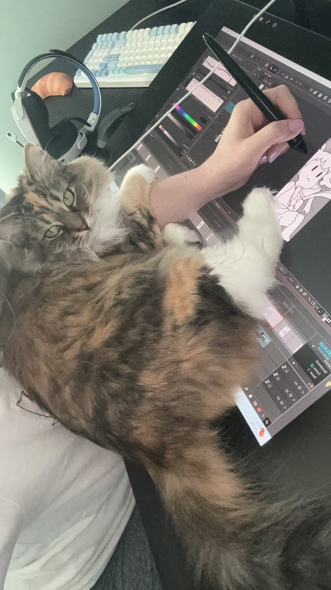 Maizie doesn’t want me working :/