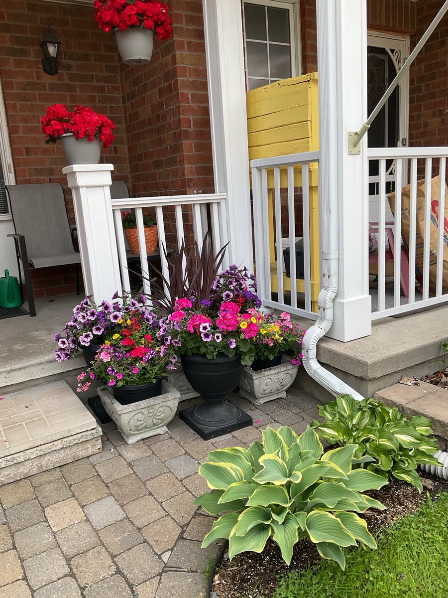 opalmer's tweet image. Geordie has been busy!