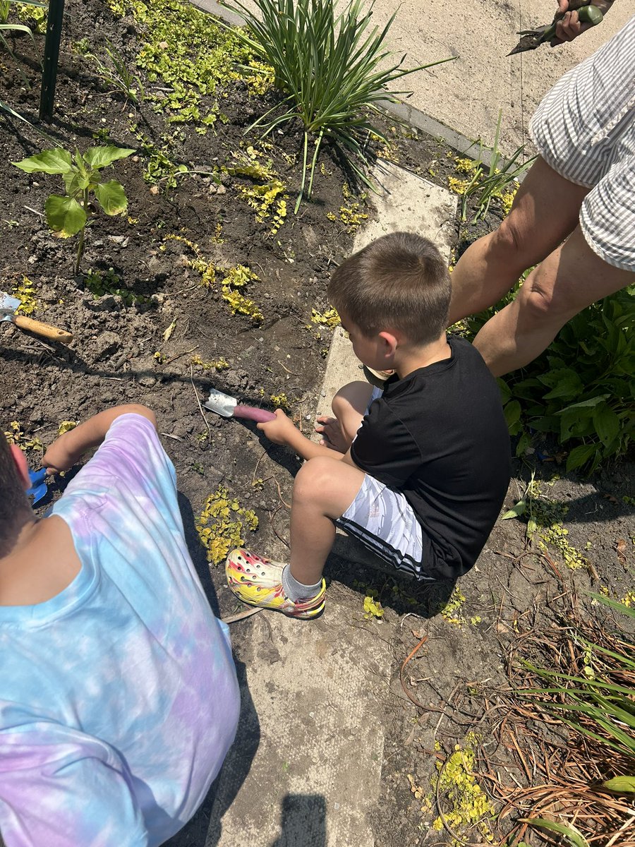 Planting our sunflowers in the garden!🌻 <a href="/FSDVikings/">Farmingdale School</a>