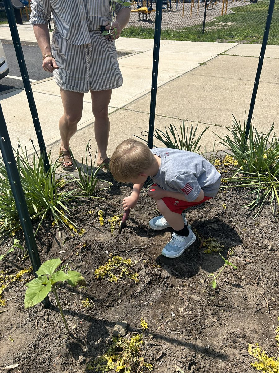 Jaclyn Gass tweet media