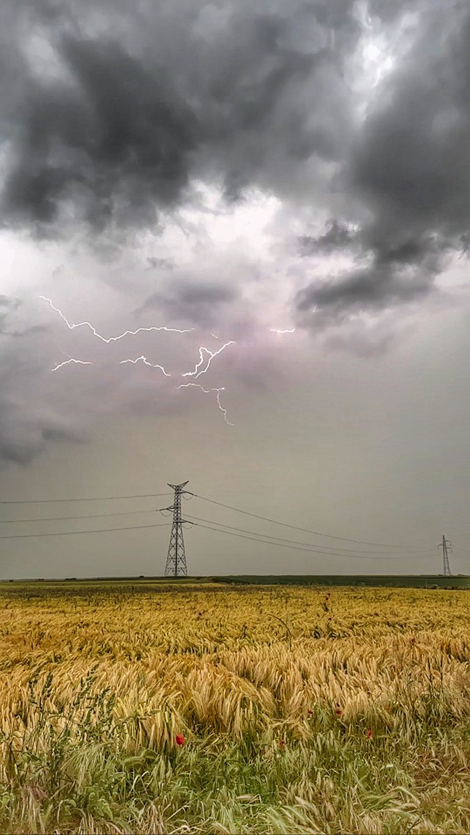 kaikuland tweet media