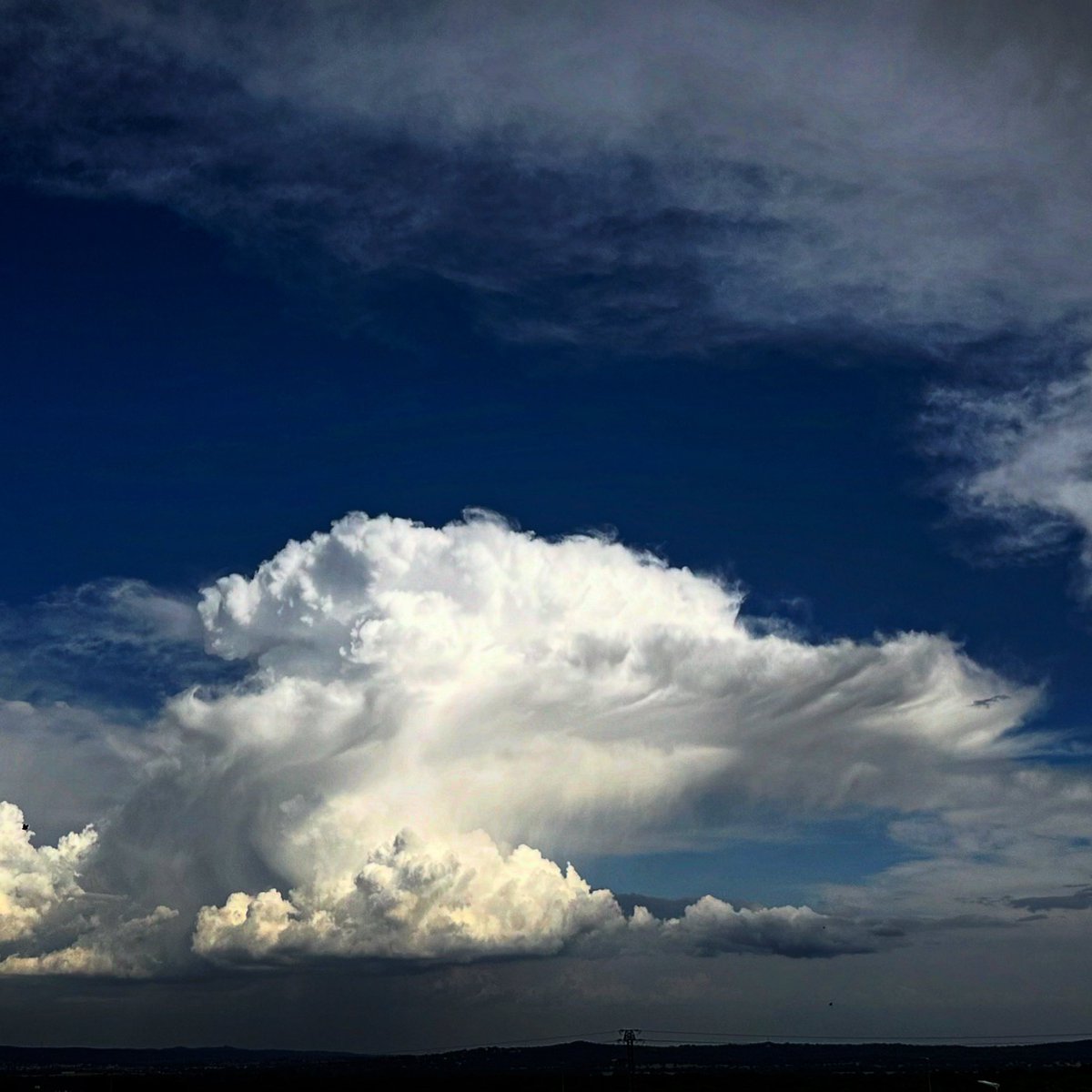 kaikuland tweet media