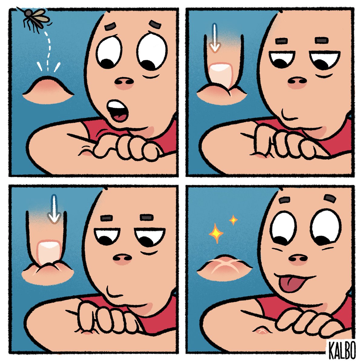 ✨ 