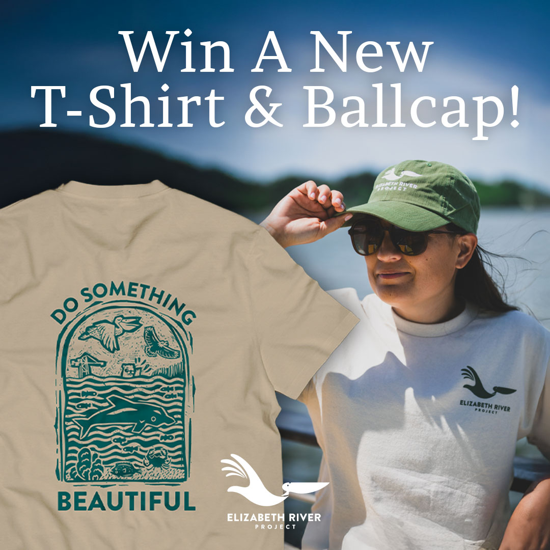 Donate $50 or more during the month of June &amp; you'll be entered to win an exclusive hat &amp; t-shirt! Your generous donation will support our efforts to provide a welcoming home for river wildlife 🐬 All qualifying donations are eligible to win! Donate today: brnw.ch/21wT8iC