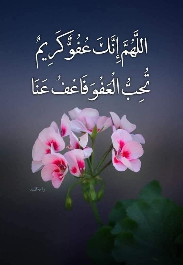 Walid Obaid (@_wali_d) on Twitter photo <a href="/Slem52Talaat/">طلعت سليم</a> <a href="/BinteSayedNoor/">بنتِ سید نور</a> <a href="/ka20747/">الملكي kasim</a> <a href="/Z22560/">Ziya🦋</a> <a href="/ai76233/">Anni Chaudhry</a> <a href="/C_A__Z_/">🍁چوہدری اے آر ظفر🍁</a> <a href="/mits_i/">あるがままのミック ⚠️🚫NO DM⚠️</a> <a href="/Ghz35/">🇬 🇭 🇦 🇿 🇦 🇱 🇦 🇭</a> <a href="/itxsk14/">Syeda Sakina 🕊️</a> <a href="/Iri8_4u/">Smile 😃Luv❤️Live🥰</a> <a href="/skpmln1/">SAMINA KAUSAR</a> <a href="/KarRiz45/">khursheed</a> <a href="/zulkum/">zulkum🇵🇰 🇵🇸</a> <a href="/lILordil/">ടരଧര 🍒</a> <a href="/5malii/">Naila Malik</a> <a href="/NK_pti/">𝒜𝓏𝒶𝒹 🇵🇰</a> <a href="/96__swl/">💝sana noor💝</a> <a href="/o4_0i/">رُسَيْل 🧤</a> <a href="/Redi7m/">RED</a> <a href="/soy5r1/">Soy5r1</a> <a href="/ssz1472/">زھرا رضوی</a> <a href="/umeh098/">HANI</a> <a href="/MQA2981/">Muhammad Qurban Ali ansari🇵🇰🇵🇰🇵🇰</a> <a href="/MaliknazK/">sadaf Khalid</a> <a href="/shazia__10/">💞Shazia💞</a> <a href="/S_AA7R/">𝕊𝔸ℝ𝔸 🦋</a> <a href="/Ruhi_Shaheen/">Shaheen🇵🇰</a> <a href="/sai_rash69/">Saima Rasheed</a> <a href="/AmberBukhari86/">Amber Khan</a> <a href="/GinaJardines/">Cleopatra</a> <a href="/FazalZaina95811/">zainab fazal</a> <a href="/fatima60845/">Fatima</a> <a href="/IslamiUser55534/">🦋عروج فاطمہ 🦋</a> <a href="/Noor_zindgi1/">نورِ زندگی✨</a> <a href="/world_ofpoetry/">شاعری کی دنیا</a> <a href="/ashrafbila71246/">🇮🇪🇵🇰zainab qureshi🇵🇰🇮🇪</a> <a href="/Slem52Talaat/">طلعت سليم</a> <a href="/BinteSayedNoor/">بنتِ سید نور</a> <a href="/ka20747/">الملكي kasim</a> <a href="/Z22560/">Ziya🦋</a> <a href="/ai76233/">Anni Chaudhry</a> <a href="/C_A__Z_/">🍁چوہدری اے آر ظفر🍁</a> <a href="/mits_i/">あるがままのミック ⚠️🚫NO DM⚠️</a> <a href="/Ghz35/">🇬 🇭 🇦 🇿 🇦 🇱 🇦 🇭</a> <a href="/itxsk14/">Syeda Sakina 🕊️</a> <a href="/Iri8_4u/">Smile 😃Luv❤️Live🥰</a> <a href="/skpmln1/">SAMINA KAUSAR</a> <a href="/KarRiz45/">khursheed</a> <a href="/zulkum/">zulkum🇵🇰 🇵🇸</a> <a href="/lILordil/">ടരଧര 🍒</a> <a href="/5malii/">Naila Malik</a> <a href="/NK_pti/">𝒜𝓏𝒶𝒹 🇵🇰</a> <a href="/96__swl/">💝sana noor💝</a> <a href="/o4_0i/">رُسَيْل 🧤</a> <a href="/Redi7m/">RED</a> <a href="/soy5r1/">Soy5r1</a> <a href="/ssz1472/">زھرا رضوی</a> <a href="/umeh098/">HANI</a> <a href="/MQA2981/">Muhammad Qurban Ali ansari🇵🇰🇵🇰🇵🇰</a> <a href="/MaliknazK/">sadaf Khalid</a> <a href="/shazia__10/">💞Shazia💞</a> <a href="/S_AA7R/">𝕊𝔸ℝ𝔸 🦋</a> <a href="/Ruhi_Shaheen/">Shaheen🇵🇰</a> <a href="/sai_rash69/">Saima Rasheed</a> <a href="/AmberBukhari86/">Amber Khan</a> <a href="/GinaJardines/">Cleopatra</a> <a href="/FazalZaina95811/">zainab fazal</a> <a href="/fatima60845/">Fatima</a> <a href="/IslamiUser55534/">🦋عروج فاطمہ 🦋</a> <a href="/Noor_zindgi1/">نورِ زندگی✨</a> <a href="/world_ofpoetry/">شاعری کی دنیا</a> <a href="/ashrafbila71246/">🇮🇪🇵🇰zainab qureshi🇵🇰🇮🇪</a>